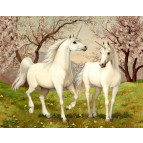 Картина раскраска по  номерам на холсте  - 40*50см Идейка КН2431 Пара единорогов