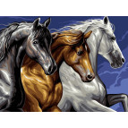 Картина раскраска по  номерам на холсте 30*40см Babylon VK122 Три грации