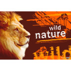 Подложка на стол с карманом 665x430мм PVC Лев" PANTA PLAST 0318-0035-98