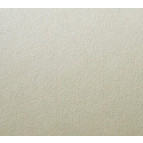 Картон Гознак А1 1 лист 200г/м2 текстура Яичная скорлупа 1шт.