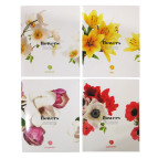 Тетрадь школьная А5+ 168*203мм 36л. ШКОЛЯРИК