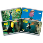 Альбом для рисования А4 24л. Kite мод.242 Animal Planet AP16-242