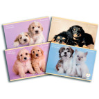 Альбом для рисования А4 24л Kite мод.242 Rachel Hale R16-242