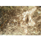 Поталь в хлопьях Золото №2,5 (имит) в упак (мал пак) NSIF145-100212 R0