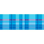 Картон двухсторонний URSUS 20*30 300г Vichy мотив Клетка, Голубой UR-13362203R