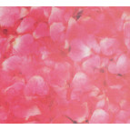 Калька URSUS А4 115г/м Флора Лепестки Роз UR-50214606R