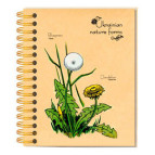 Блокнот на спирали B6 Optima 100л. Крафт Цветы Украины Одуванчик O20363-05