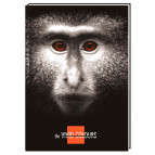 Блокнот А5 Cool For School 80л, Vivid Colours обезьяна клетка CF21200-06