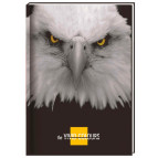 Блокнот А5 Cool For School 80л, Vivid Colours орел клетка CF21200-05