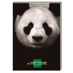 Блокнот А5 Cool For School 80л, Vivid Colours панда клетка CF21200-04