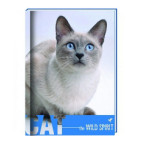 Блокнот А6 Cool For School 80л Wind Spirit , кошка клетка CF21201-02