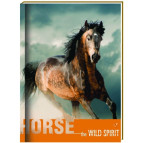 Блокнот А6 Cool For School 80л Wind Spirit , конь клетка CF21201-06