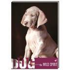 Блокнот А6 Cool For School 80л Wind Spirit , щенок клетка CF21201-12