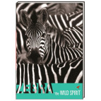Блокнот А6 Cool For School 80л Wind Spirit , зебра клетка CF21201-21