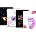 Папка с 20 файлами А4 Optima X-RAY в ассорт. O32103