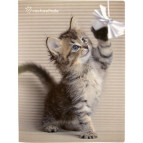 Папка с 20 файлами А4 Axent Rachael Hale RH1125-01