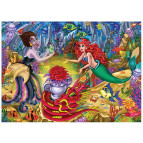 Пазлы DankoToys 500 эл. DT C500-09-03 475*340 Classic series