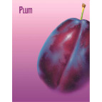 Папка клип-файл А4 c 1 зажимом LEO Слива L5104