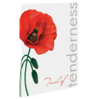 Папка клип-файл А4 c 1 зажимом и карманом LEO Мак L5136