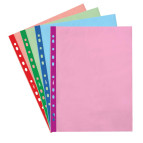 Файлы А4 40мк 100шт LEO цветные 3605