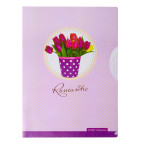 Уголок А4 LEO Sweet Dreams с 2 разделителями L6200/490816