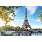 Пазлы DankoToys 500 эл. DT C500-10-09 475*340