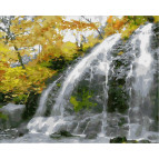 Картина раскраска по  номерам на холсте 40*50см  Mariposa Q1859 Водопад и золотые листья