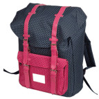 Рюкзак (ранец) школьный ZIBI ZB17.0636PB Simple Pink Belt