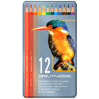 Карандаши цветные 12кол. Bruynzeel Bird в метал. коробке 8511M12