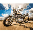 Картина раскраска по  номерам на холсте 40*50см Babylon VP722 Harley Davidson