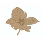 Заготовка для декорирования Rosa Talent ДВП 5шт Магнолия-1 10,5*9,5*0,3см 2809035