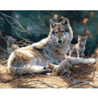 Картина раскраска по  номерам на холсте 40*50см  Mariposa Q2120 Волчата