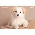 Подложка на стол Kite мод 207 Rachael Hale 42.5*29см R17-207