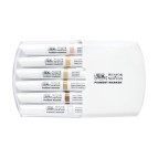 Набор двусторонних маркеров Pigment Marker Winsor and Newton 6шт. Телесные тона 0290045