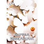 Картон белый детский А4 9л. Фолдер белоснежный 200г/м 689561