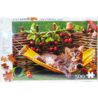 Пазлы DankoToys 500 эл. DT C500-11-06 475*340