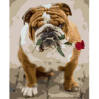 Картина раскраска по  номерам на холсте 40*50см  Mariposa Q1785 Английский бульдог с розой