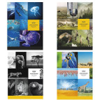 Тетрадь А5 48л. ШКОЛЯРИК Student в клетку А5-048-5057К