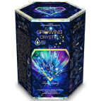 Набор для творчества DankoToys DT GRK-01-04 Growing Crystal опыты с кристалами