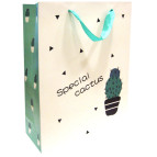 Пакет подарочный бумажный Tukzar 32*26*10см Кактус, 4 дизайна ZD-9089(M)