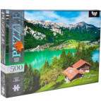 Пазлы DankoToys 500 эл. DT C500-12-03 475*340