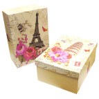 Коробка подарочная SY 21*14*8см 2 вида микс 2316-31-M