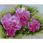 Картина раскраска по  номерам на холсте 40*50см  Mariposa Q2184 Розовые пионы