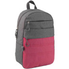 Рюкзак (ранец) GoPack школьный GO19-118L-1