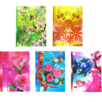 Скоросшиватель А4 пластиковый с планкой-зажимом 2-35л., с цветным принтом /Q310-