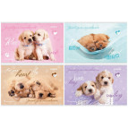 Альбом для рисования А4 12л Kite мод.241 Rachael Hale R19-241