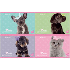 Альбом для рисования А4 12л Kite мод.241 Studio Pets SP19-241