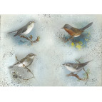 Декупажная карта-бумага 21*30см 55г/м Фабрика Декора FDCD-0023