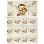 Декупажная карта-бумага 21*30см 55г/м Фабрика Декора FDCD-0025