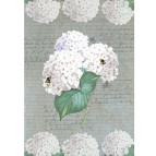 Декупажная карта-бумага 21*30см 55г/м Фабрика Декора FDCD-0028